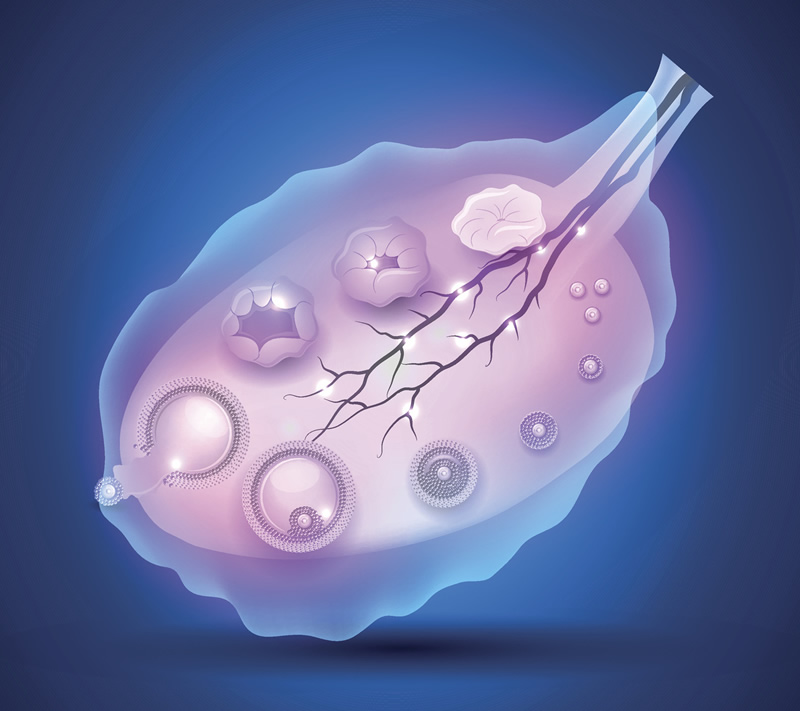 2026年重庆高龄试管私立医院前三强实力解析：附、费用与医生团队深度对比
